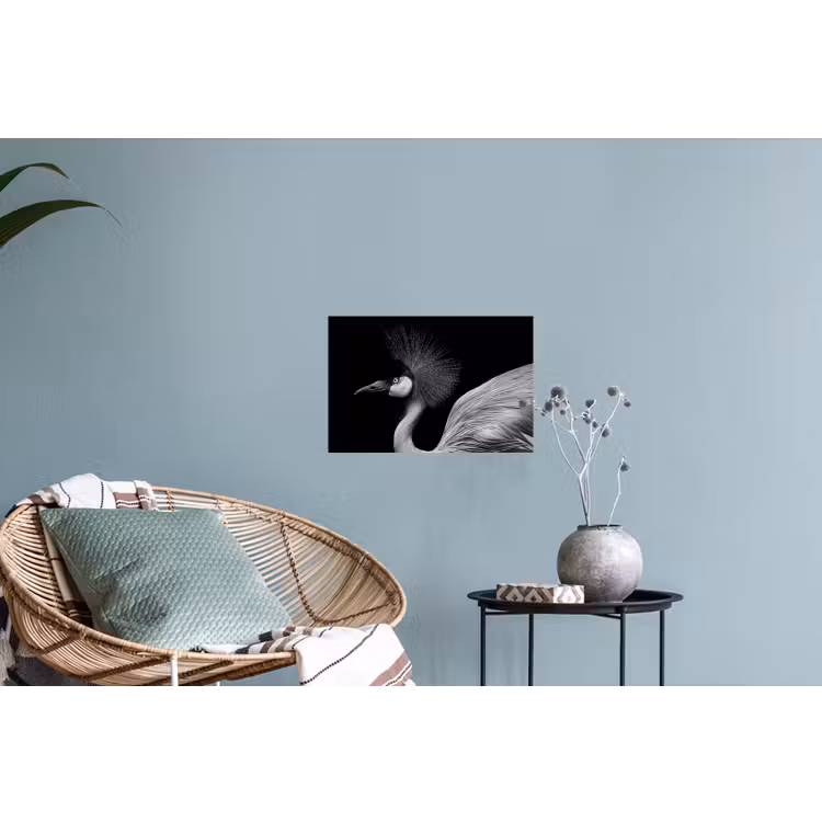 Kraanvogel - Zwart - Wit - Vogel - Dieren Muursticker klein -plant