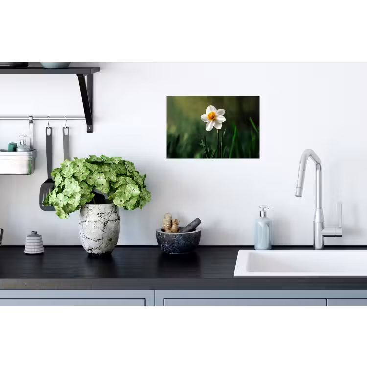 Narcis - Bloem - Wit - Grassprieten Muursticker klein -keuken