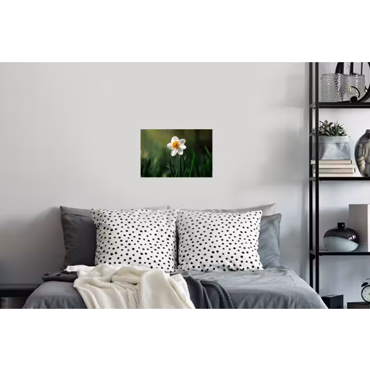 Narcis - Bloem - Wit - Grassprieten Muursticker klein -slaapkamer