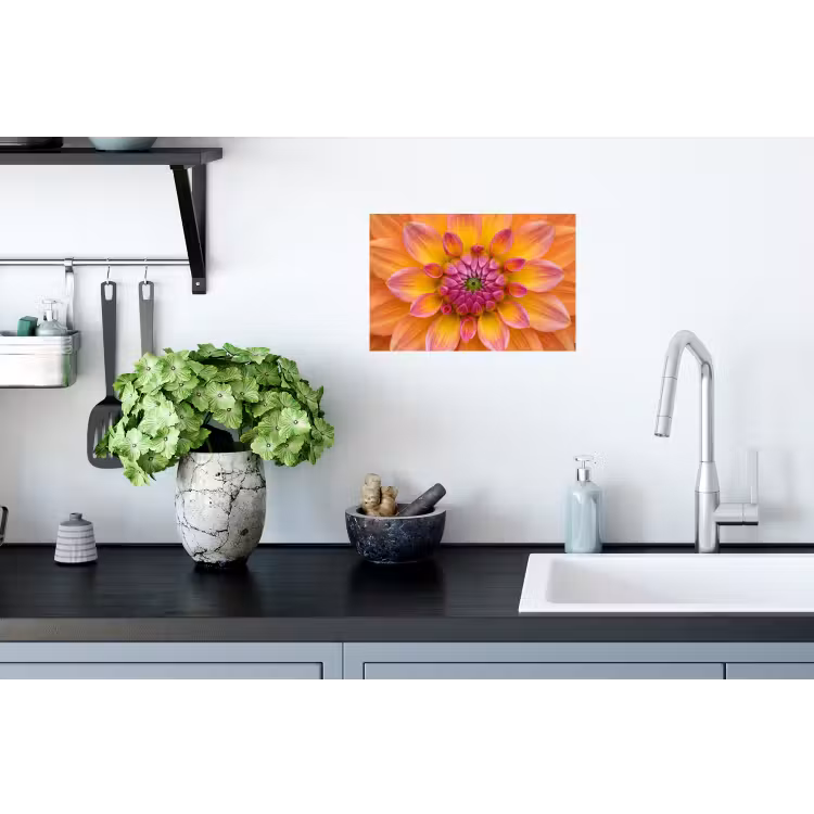 Dahlia - Bloem - Oranje Muursticker klein -keuken