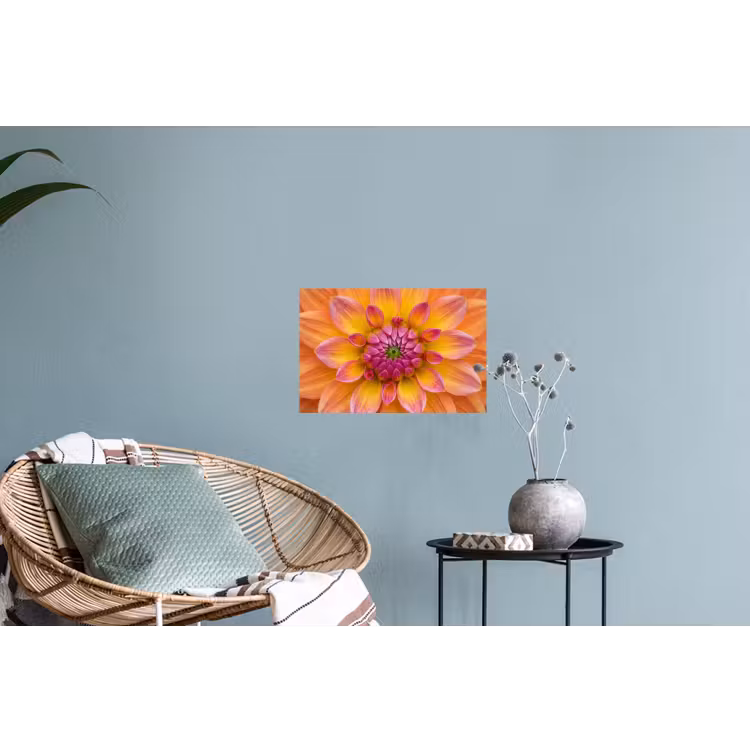 Dahlia - Bloem - Oranje Muursticker klein -plant