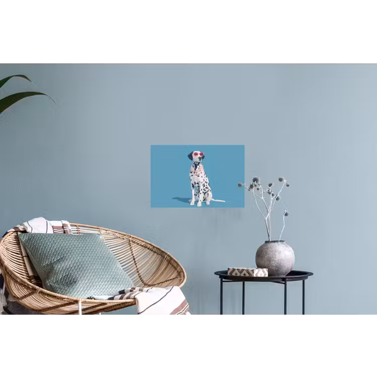 Dalmatiër - Zonnebril - Blauw Muursticker klein -plant