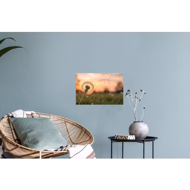 Paardenbloem - Zonsondergang - Veld Muursticker klein -plant