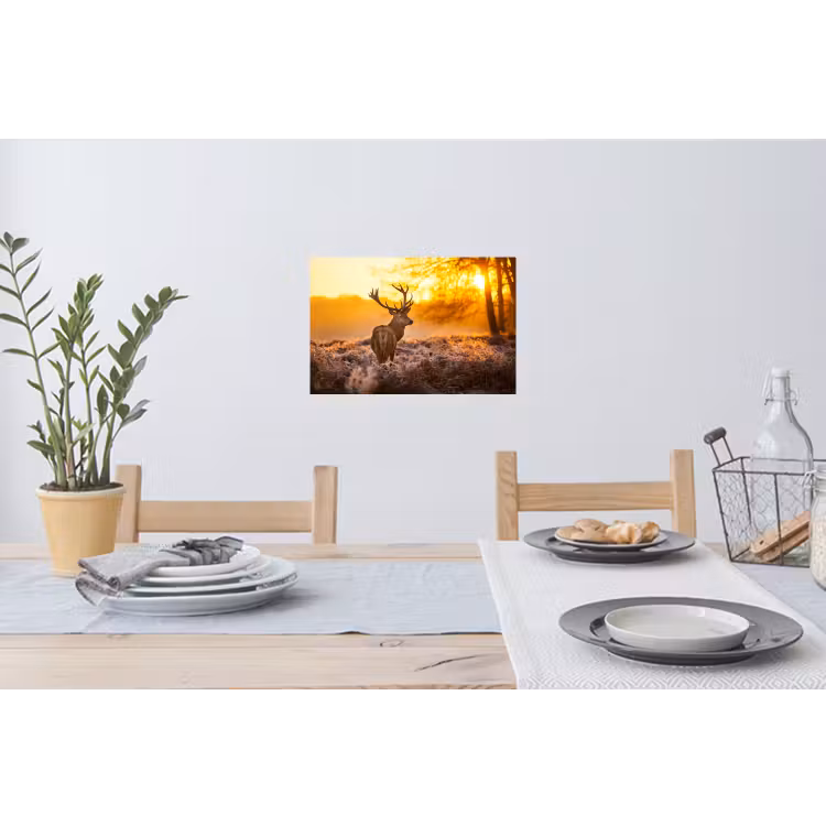 Hert - Dieren - Zonsondergang - Winter - Heide - Natuur Muursticker klein -eettafel
