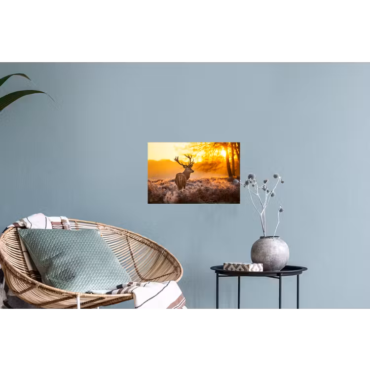 Hert - Dieren - Zonsondergang - Winter - Heide - Natuur Muursticker klein -plant