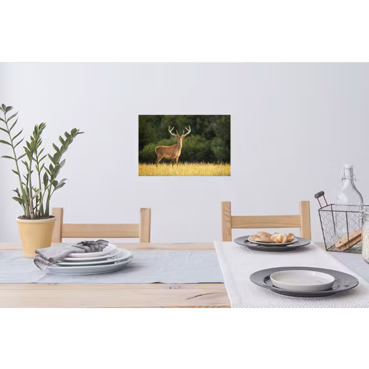 Hert - Gewei - Gras - Natuur - Dieren - Groen Muursticker klein -eettafel