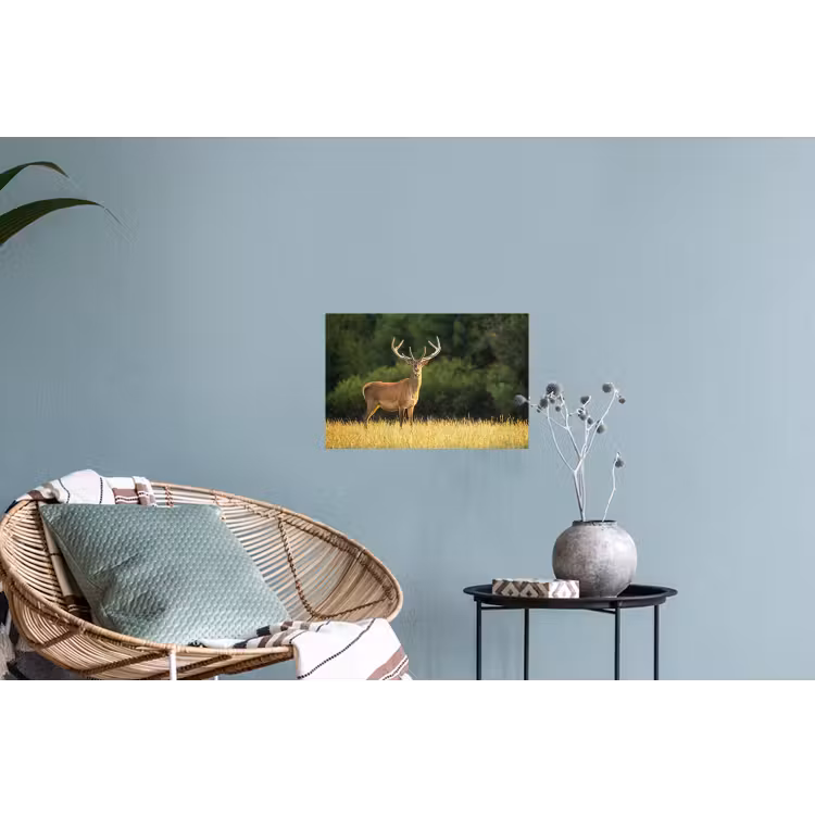Hert - Gewei - Gras - Natuur - Dieren - Groen Muursticker klein -plant