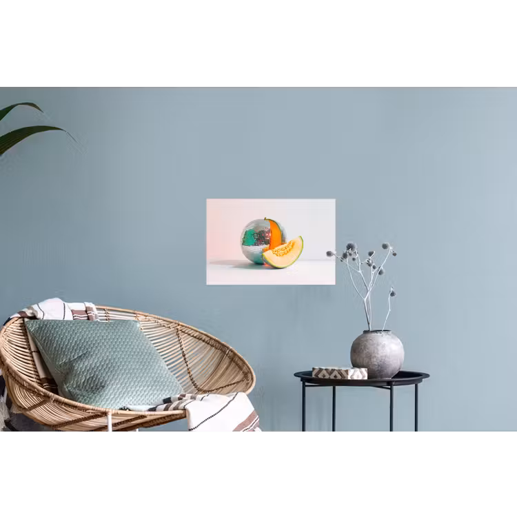 Disco - Discobal - Meloen - Pastel Muursticker klein -plant