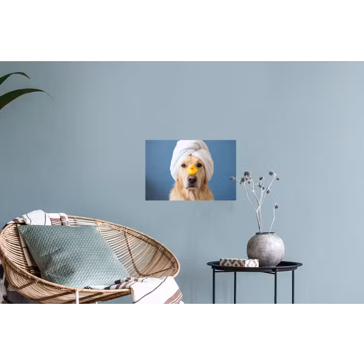 Hond - Badeend - Geel Muursticker klein -plant
