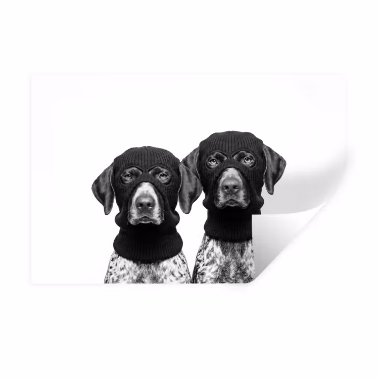Honden - Bivakmuts - Zwart - wit Muursticker klein -3d