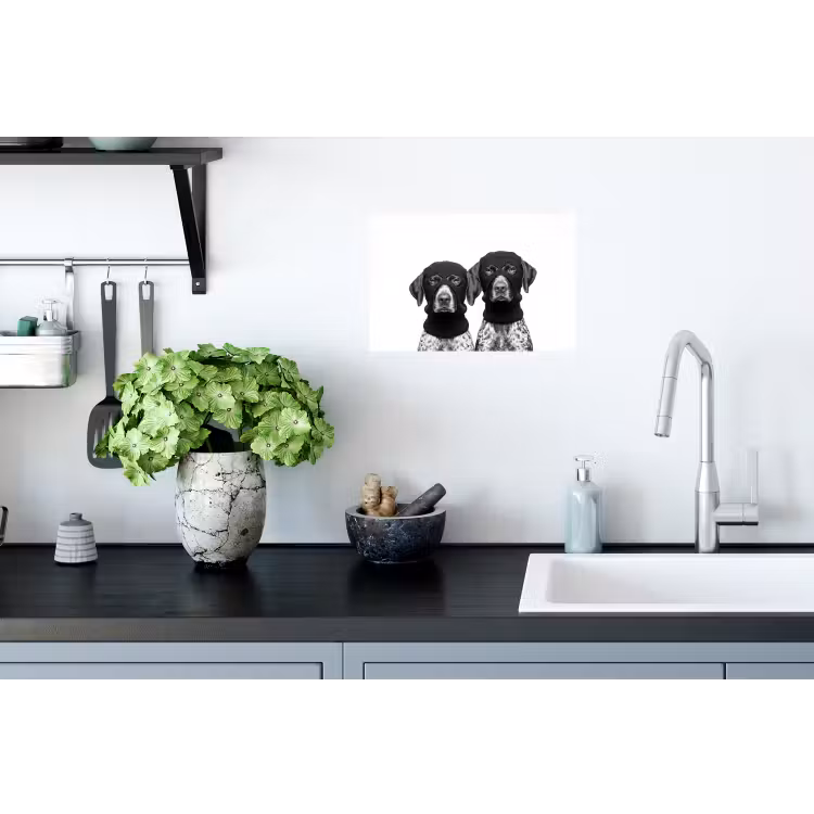 Honden - Bivakmuts - Zwart - wit Muursticker klein -keuken