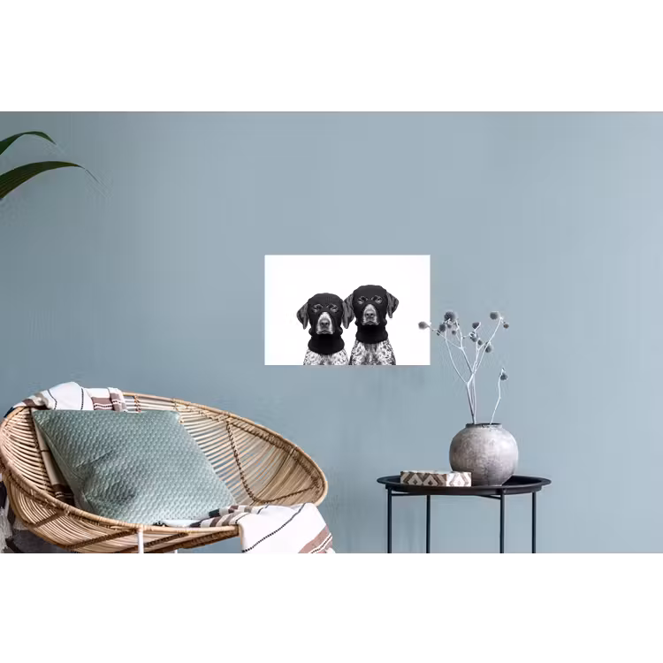 Honden - Bivakmuts - Zwart - wit Muursticker klein -plant