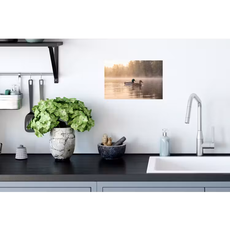 Eenden - Water - Mist - Natuur Muursticker klein -keuken