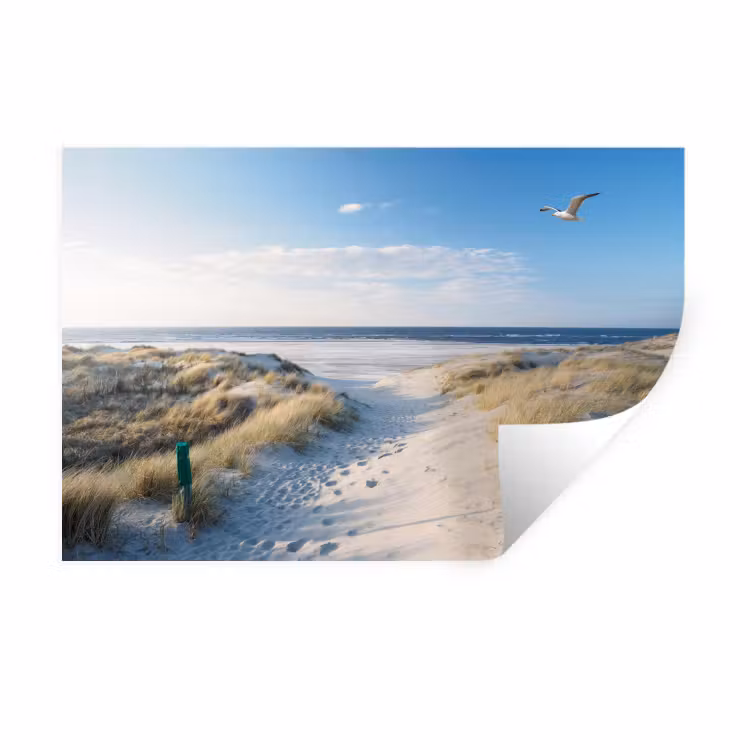 Duin - Meeuw - Strand - Zee - Zon Muursticker klein -3d