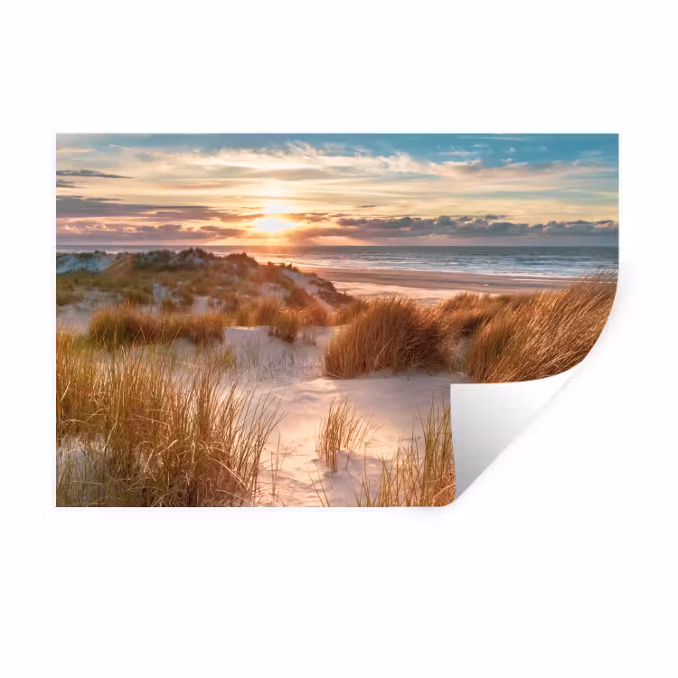 Duin - Planten - Zonsondergang - Strand - Zee Muursticker klein -3d