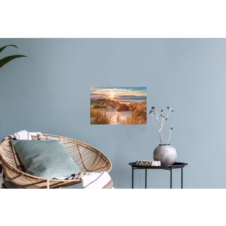 Duin - Planten - Zonsondergang - Strand - Zee Muursticker klein -plant