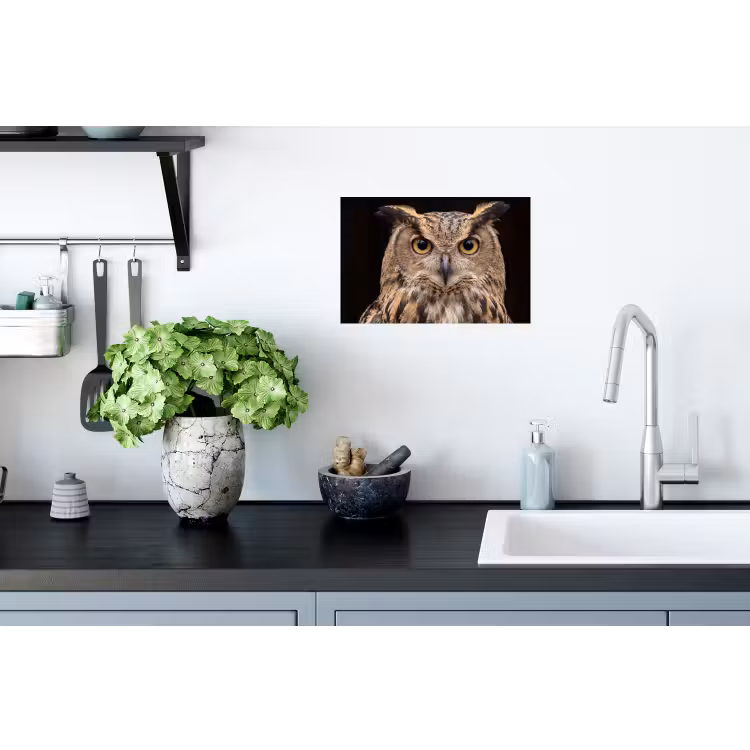 Oehoe - Uil - Portret - Bruin Muursticker klein -keuken