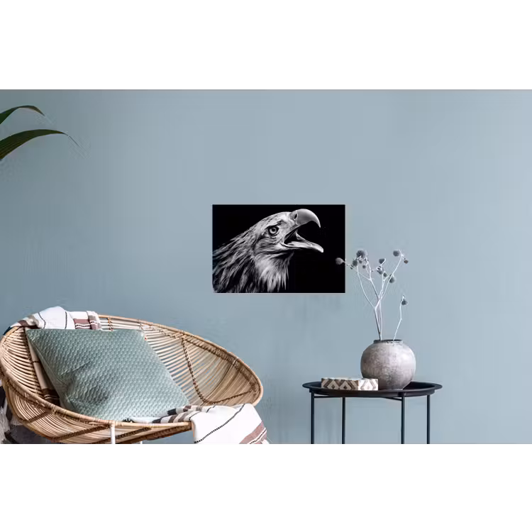 Adelaar - Portret - Roofvogels - Zwart - Wit - Vogel Muursticker klein -plant
