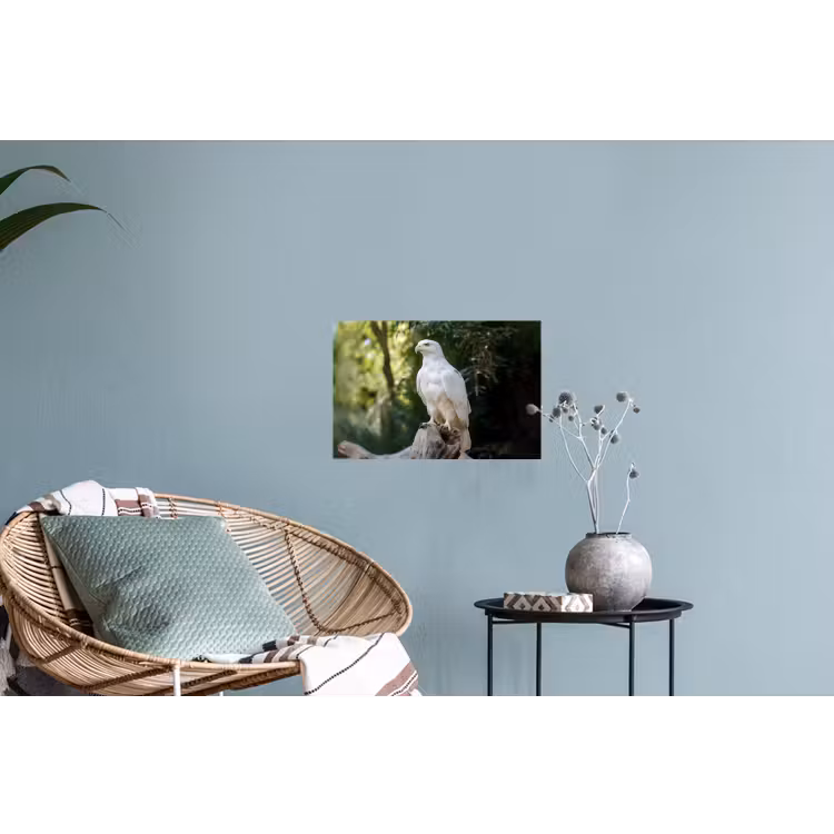 Arend - Hout - Wit - Planten Muursticker klein -plant