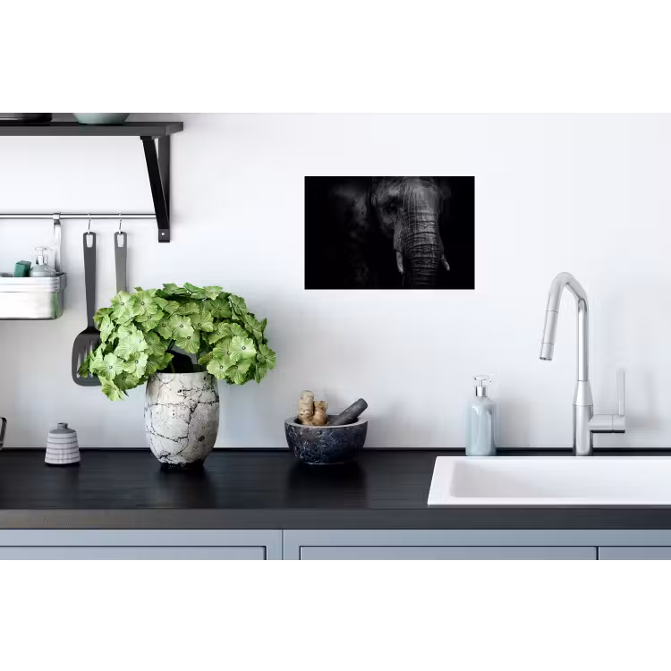 Olifant - Dier - Portret Muursticker klein -keuken