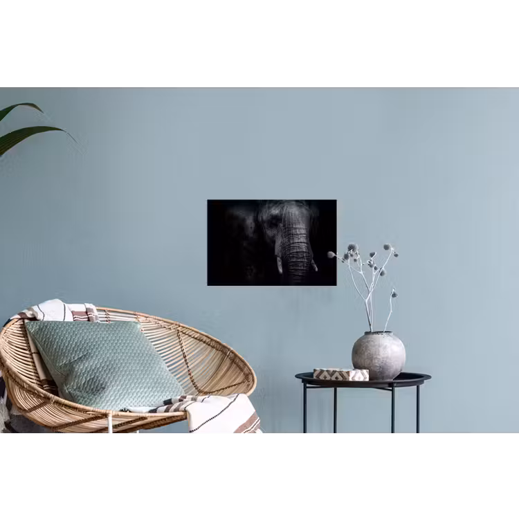 Olifant - Dier - Portret Muursticker klein -plant