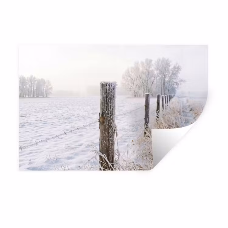 Hek - Sneeuw - Mist - Platteland - Nostalgisch Muursticker klein -3d