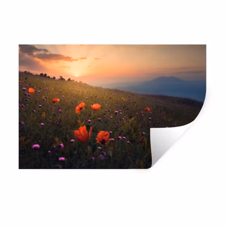 Bloemenveld - Gras - Bloemen - Planten - Zonsondergang - Oranje Muursticker klein -3d