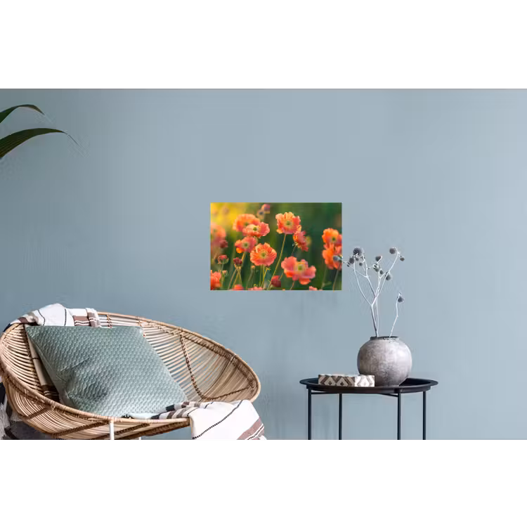 Bloemenveld - Zonnestralen - Oranje Muursticker klein -plant