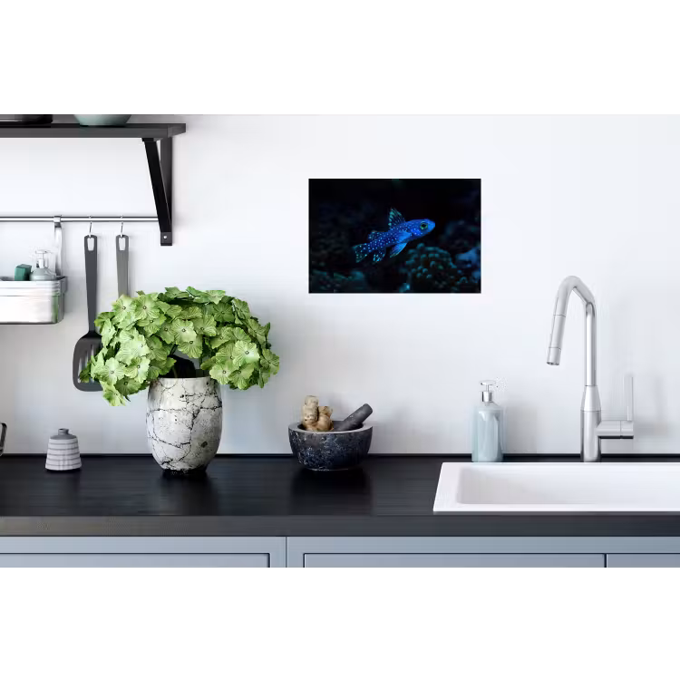 Vis - Stippen - Koraal - Blauw Muursticker klein -keuken