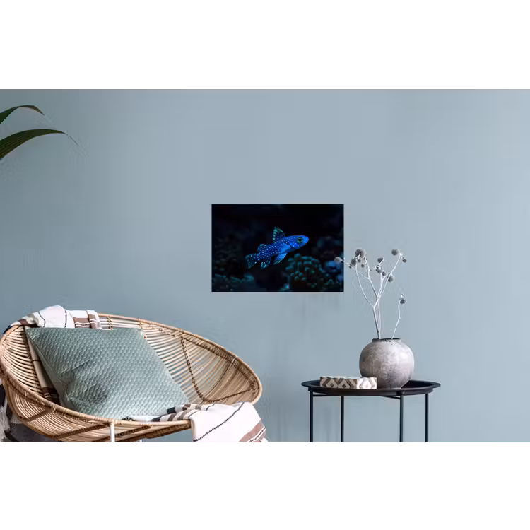 Vis - Stippen - Koraal - Blauw Muursticker klein -plant