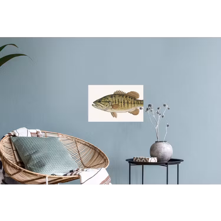 Vissen - Natuur - Vintage Muursticker klein -plant
