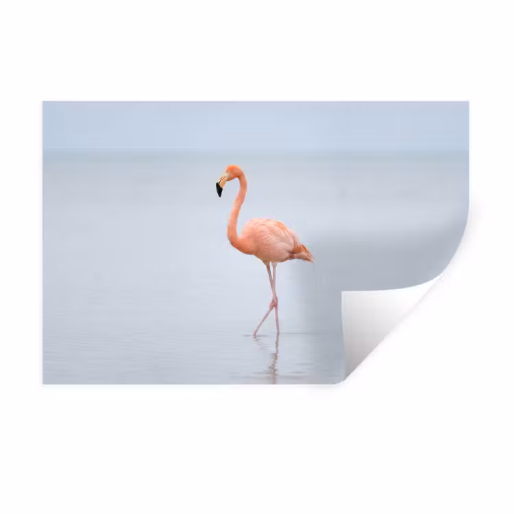 Flamingo - Zee - Roze Muursticker klein -3d