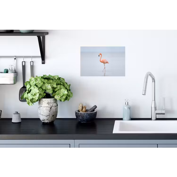 Flamingo - Zee - Roze Muursticker klein -keuken