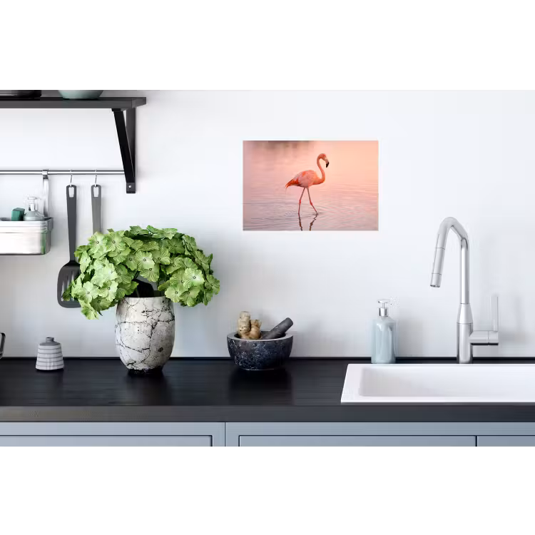 Flamingo - Water - Roze Muursticker klein -keuken
