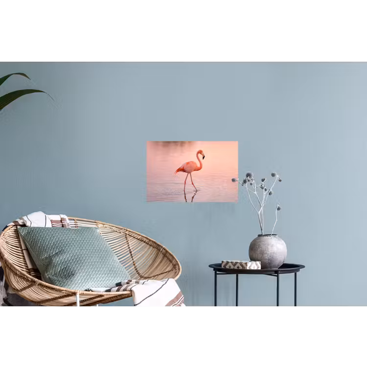 Flamingo - Water - Roze Muursticker klein -plant
