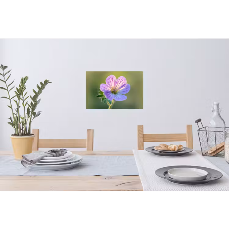 Bloem - Close up - Paars Muursticker klein -eettafel