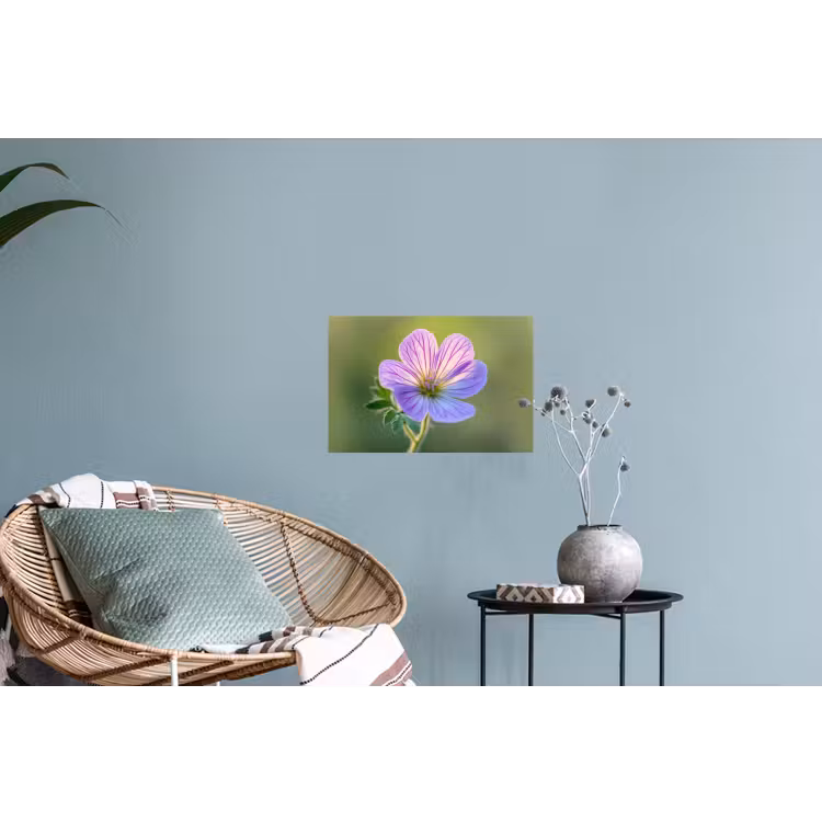 Bloem - Close up - Paars Muursticker klein -plant