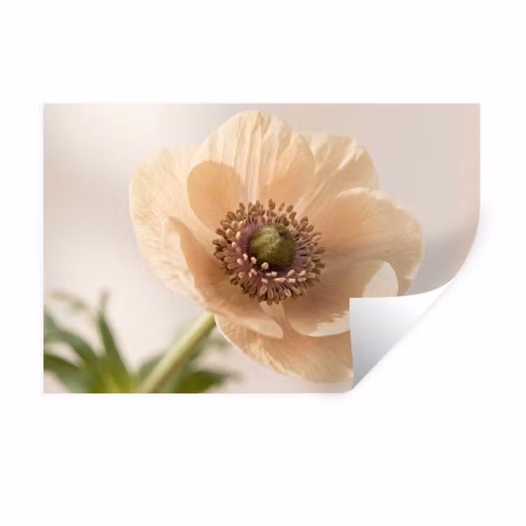 Bloem - Minimalistisch - Groen Muursticker klein -3d