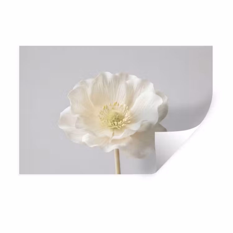 Bloem - Minimalistisch -Wit Muursticker klein -3d