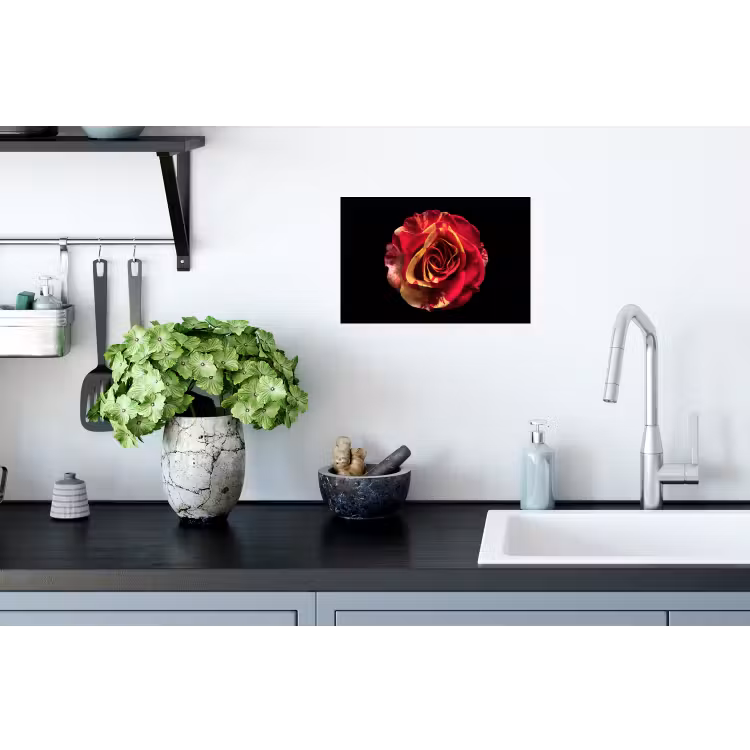 Bloem - Roos - Rood - Zwart Muursticker klein -keuken