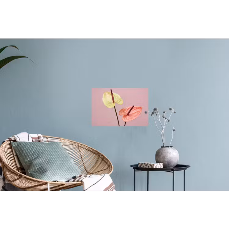 Bloemen - Anthuriums - Geel - Roze Muursticker klein -plant