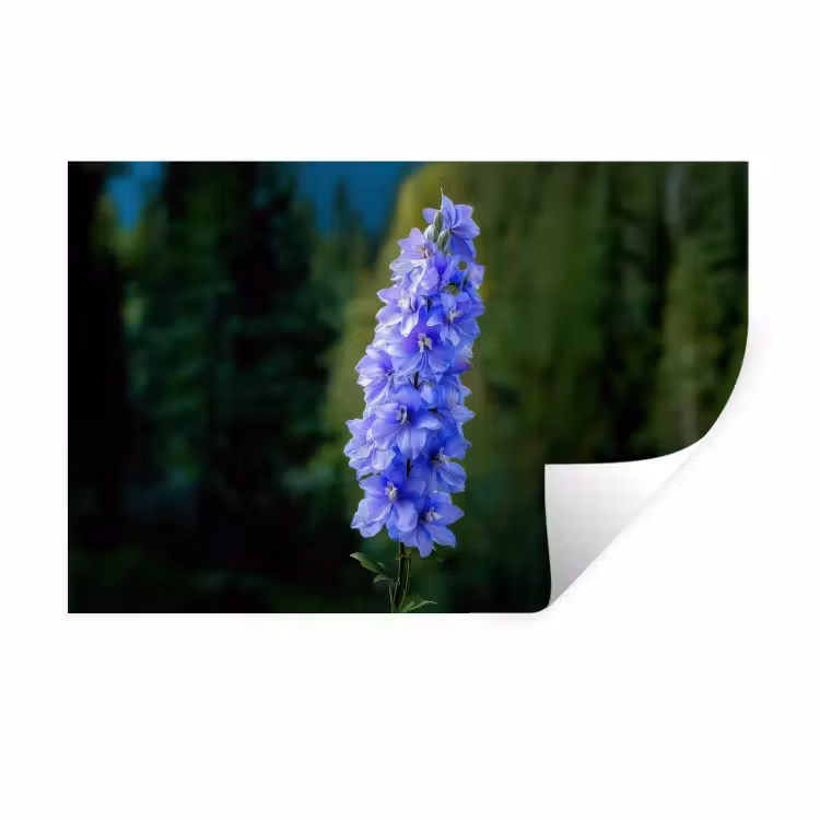 Bloemen - Blauw - Dennenboom Muursticker klein -3d