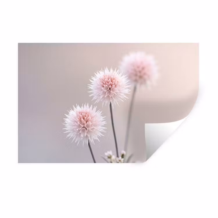 Bloemen - Bollen - Roze Muursticker klein -3d