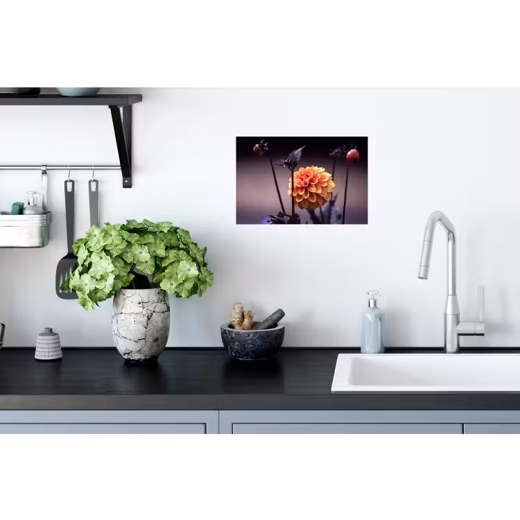 Bloemen - Chrysant - Macro - Planten Muursticker klein -keuken