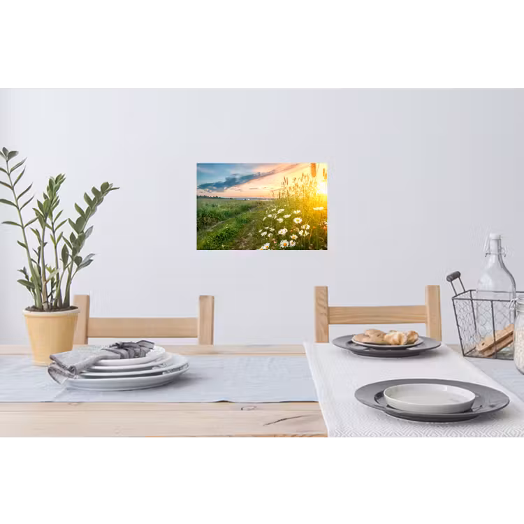 Bloemen - Madelief - Natuur Muursticker klein -eettafel