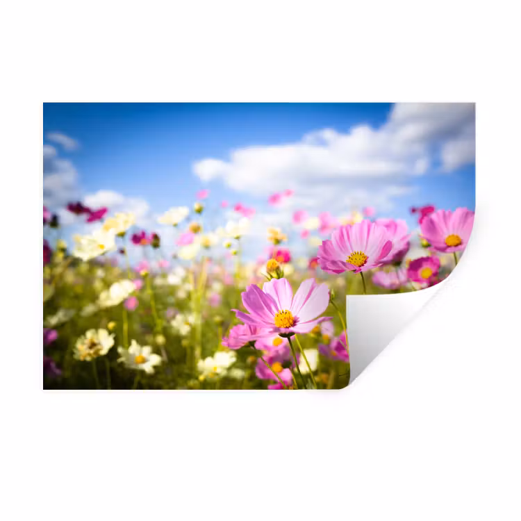 Bloemen - Wei - Paars - Gras - Wit - Wolken - Blauw Muursticker klein -3d