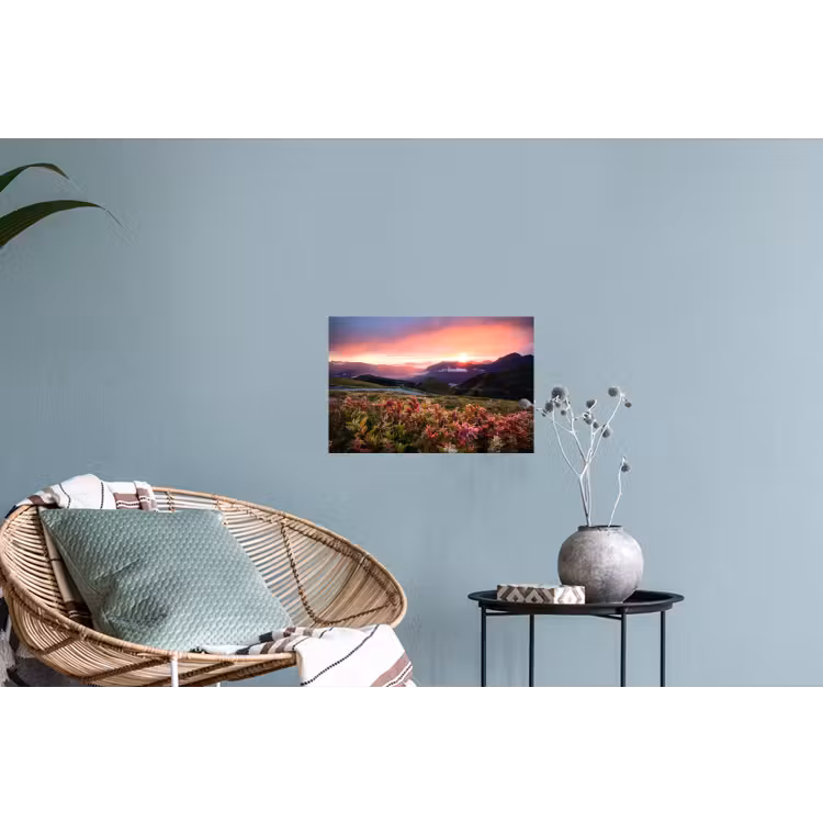 Bloemen - Bergen - Landschap - Nacht - Lucht - Roze Muursticker klein -plant