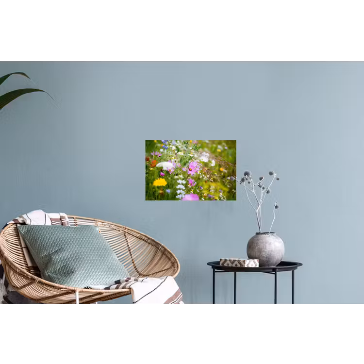 Bloemen - Natuur - Groen - Gras - Paars - Wit Muursticker klein -plant