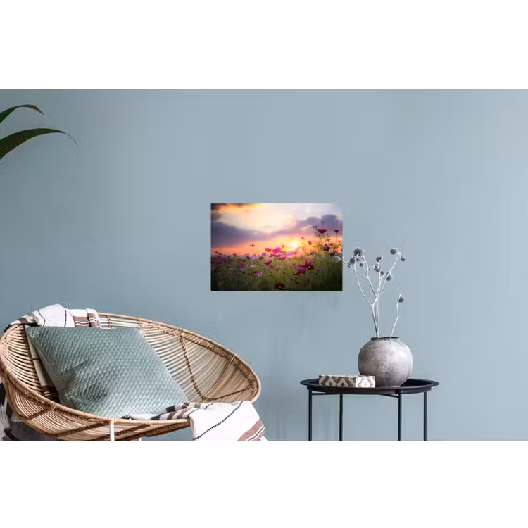 Bloemen - Roze - Zonsondergang - Natuur - Weide - Horizon Muursticker klein -plant