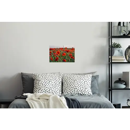 Bloemen - Klaprozen - Natuur - Rood Muursticker klein -slaapkamer
